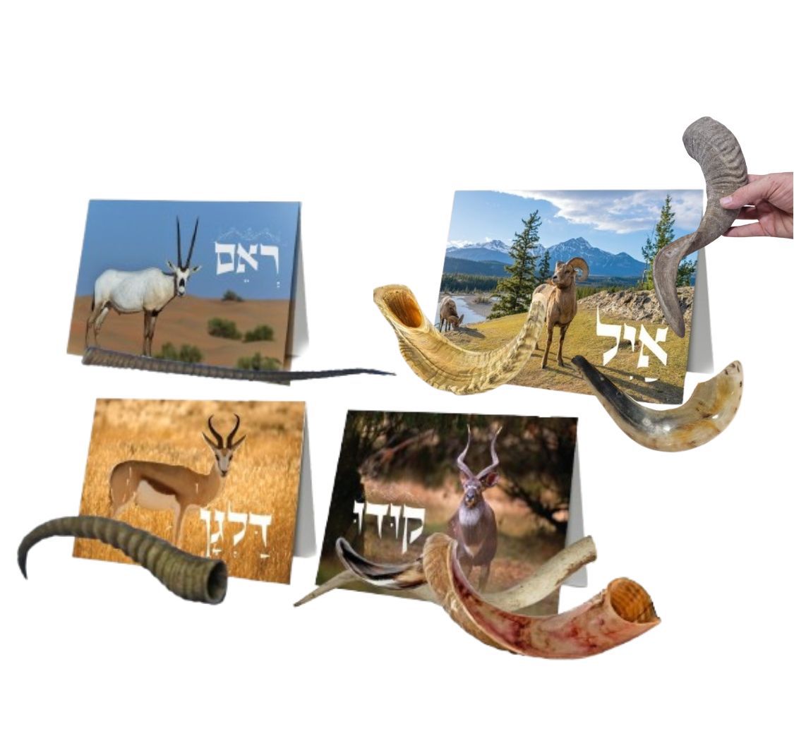 {��} 7 ������ ������� - ������� ����� {+ ������}