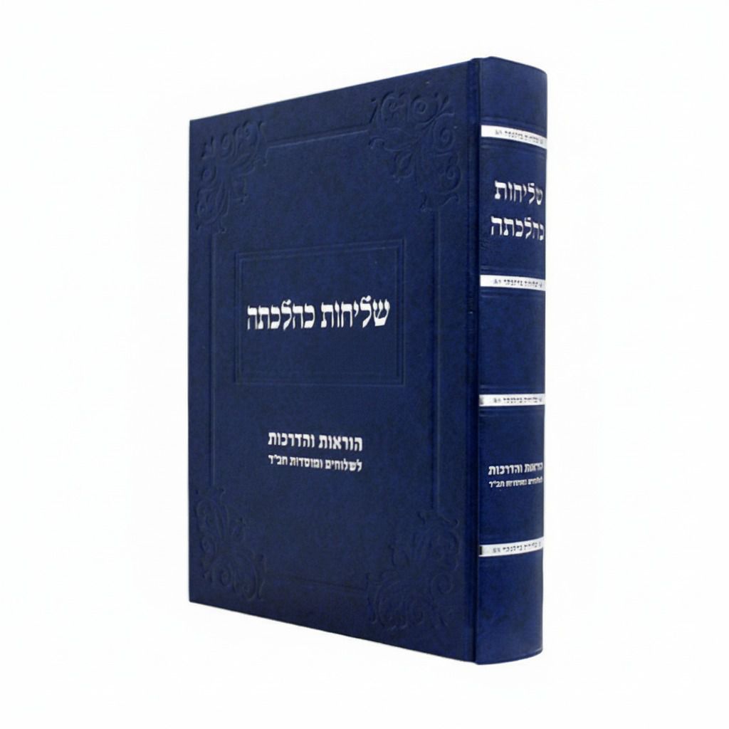 ���  - ������ ���� ������� {��� �}